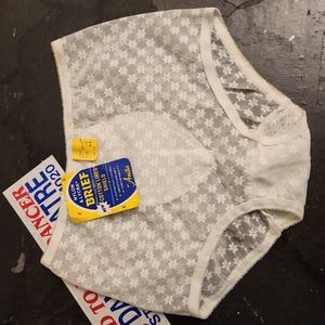 Vintage ANITA Union Label XL Women's Brief Pantie 1Pr.
